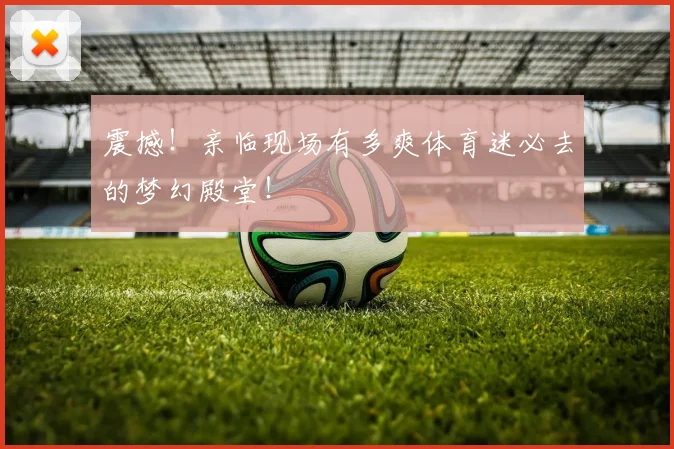 震撼！亲临现场有多爽体育迷必去的梦幻殿堂！