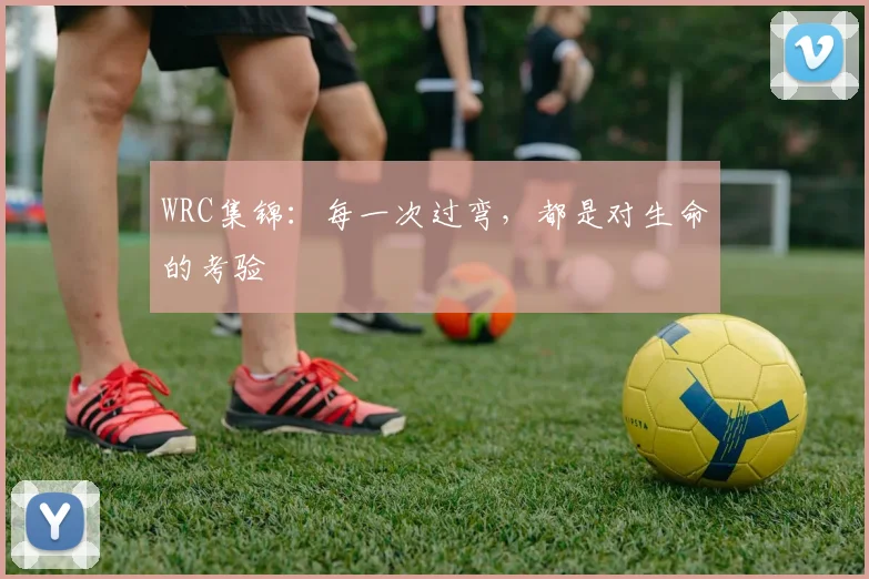 WRC集锦：每一次过弯，都是对生命的考验