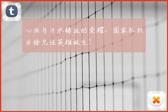 心血与汗水铸就的荣耀,国家队积分榜见证英雄诞生!