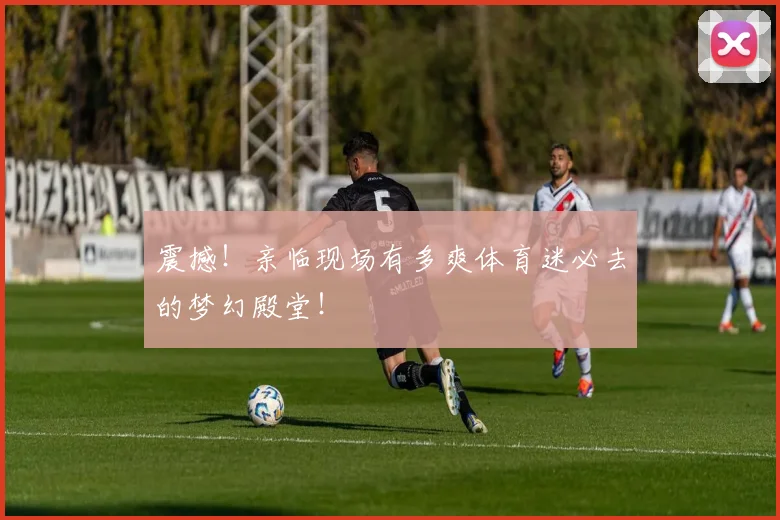 震撼！亲临现场有多爽体育迷必去的梦幻殿堂！