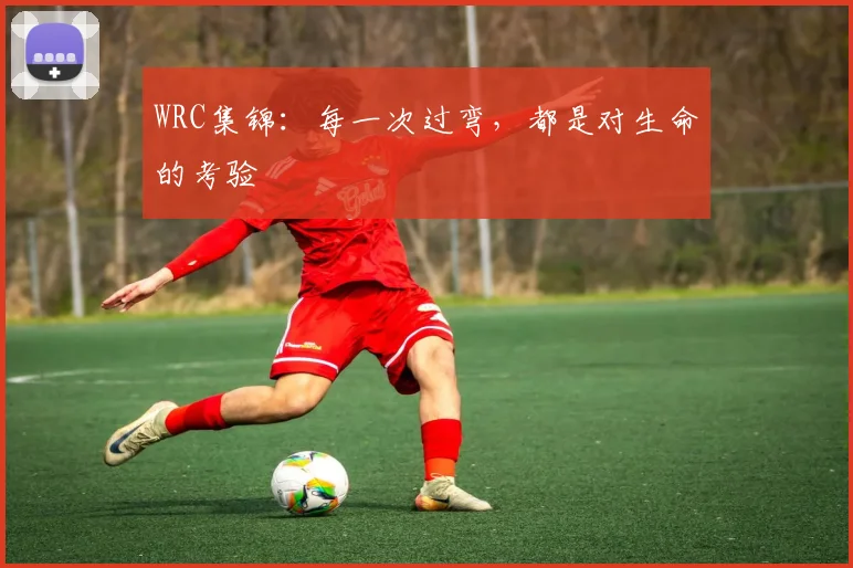 WRC集锦：每一次过弯，都是对生命的考验
